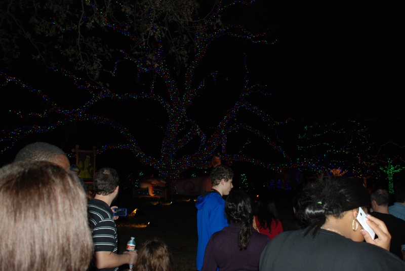 2013-12-20 20-33-58 Trail of Lights.jpg